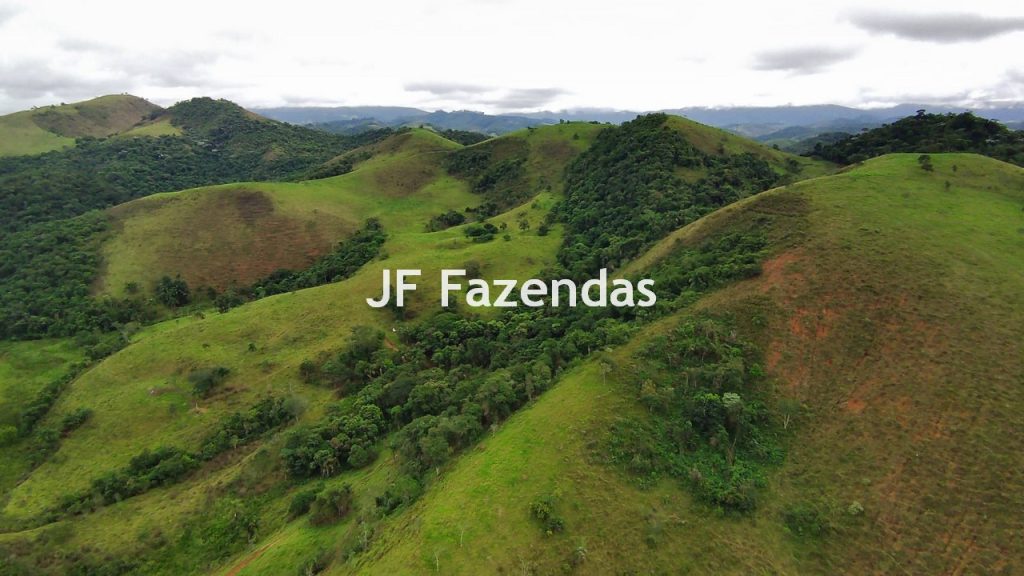 Fazenda em Rio Preto – MG | 384,87 Hectares