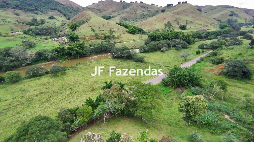 Fazenda em Rio Preto – MG | 384,87 Hectares