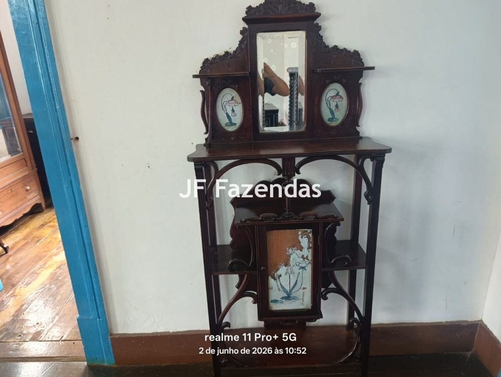 Fazenda em Rio Preto – MG | 384,87 Hectares