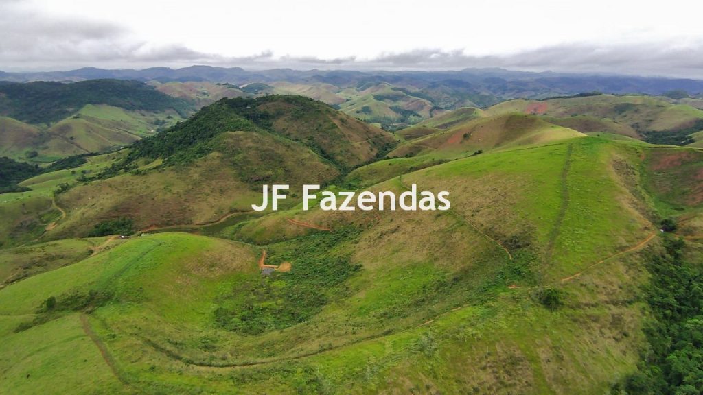 Fazenda em Rio Preto – MG | 384,87 Hectares