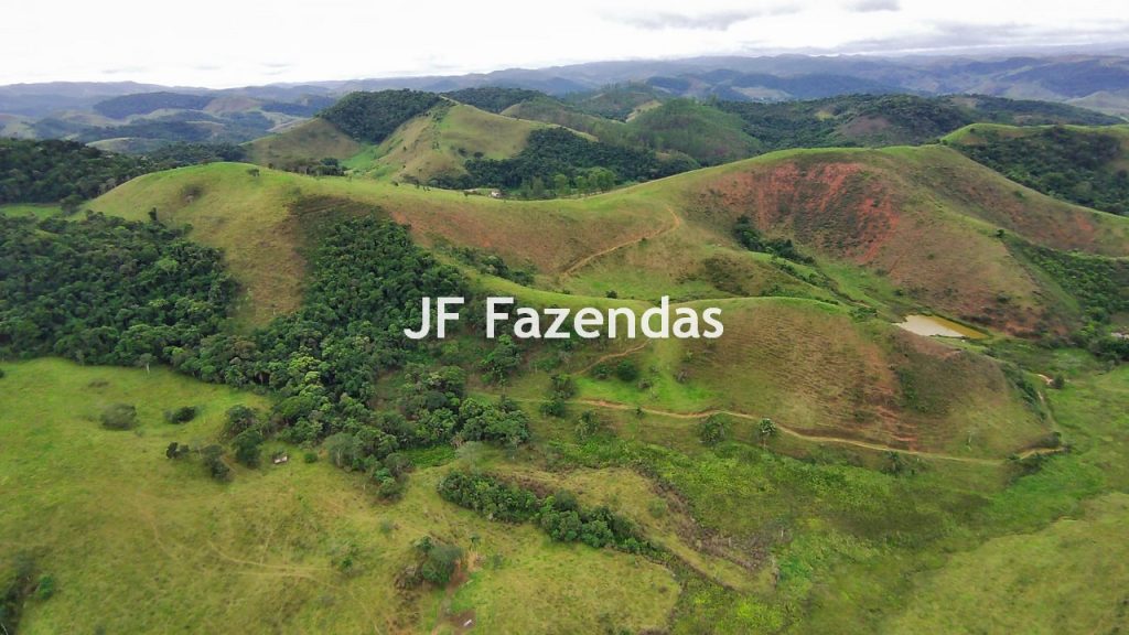 Fazenda em Rio Preto – MG | 384,87 Hectares
