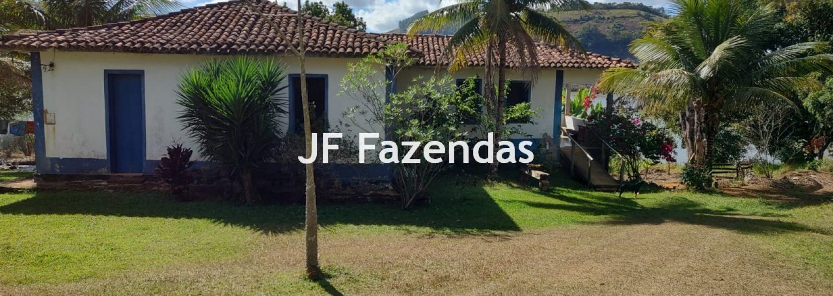 Fazenda em São João Nepomuceno – MG – 180 hectares