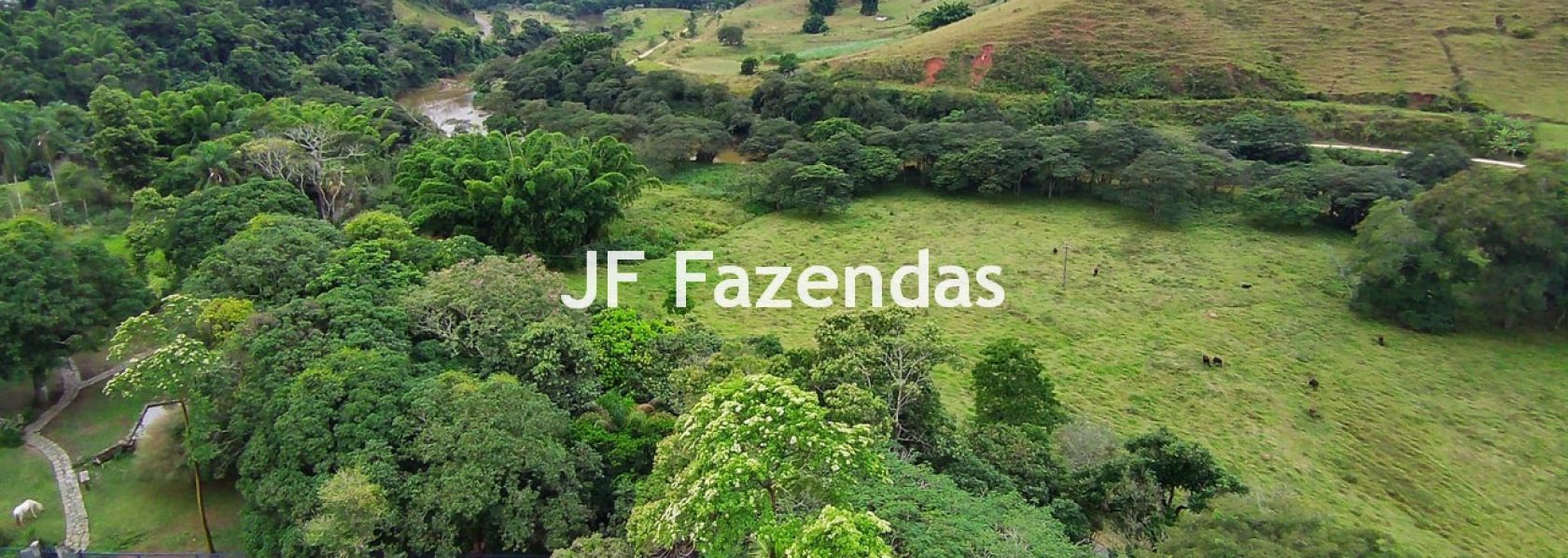 Fazenda em Rio Preto – MG | 384,87 Hectares