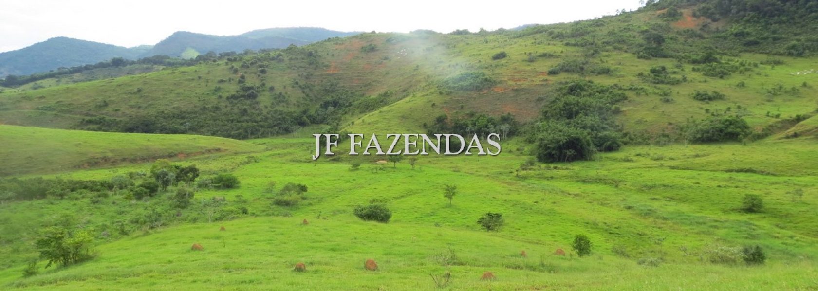 Fazenda em São João Nepomuceno – MG – 302 hectares