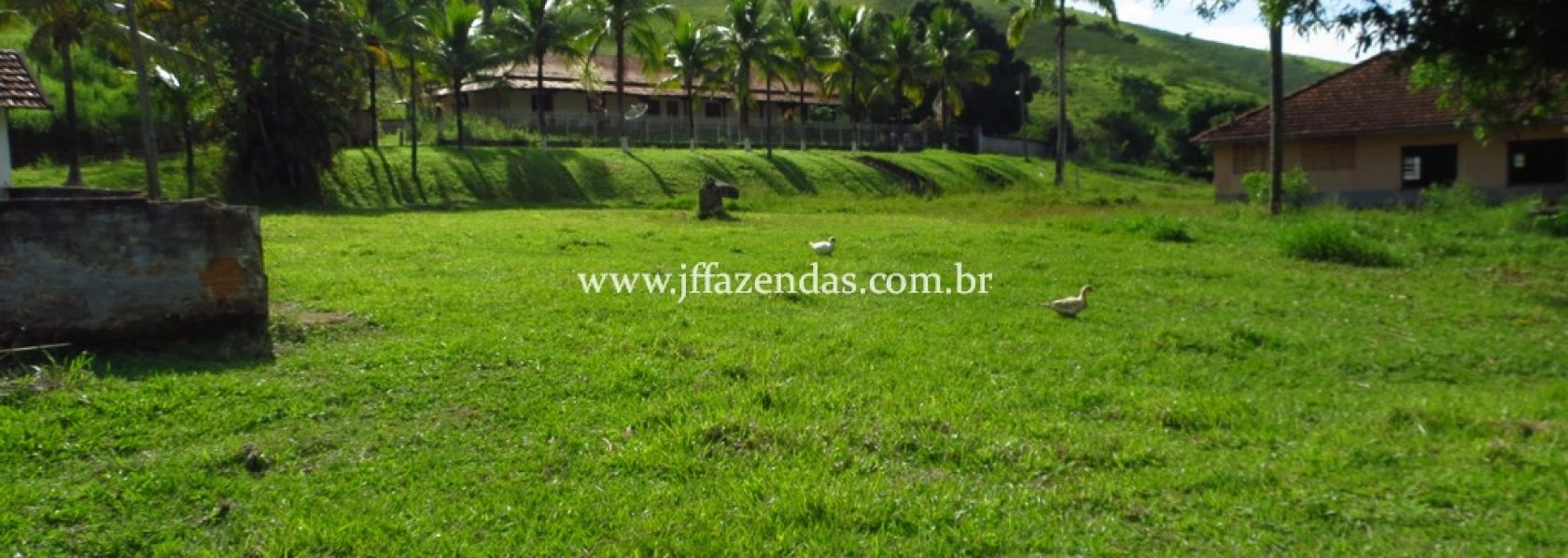 Sítio com 17 hectares – Piau/MG