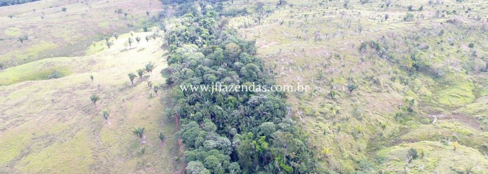 Fazenda no Jaru – RO (1100 alqueires) – 2662 hectares